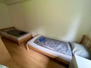 Blue Coral F3 3 Bedroom and Living room House with garden