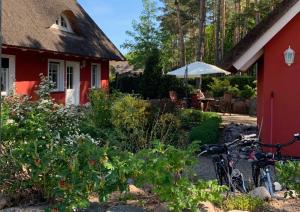 Strandhaus Usedom