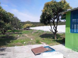 Nature Stay-The Himalayan Foot Hills-JANAKI SADAN Two Bed Room Garden Home with attached bath room in each room and Kitchen with garden facing dinning space with Badminton Court in Mango Orchard