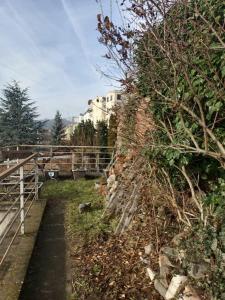 Byt s terasou a zahradou