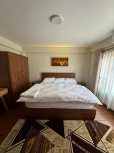 Ivanna apartment - Bāneswar