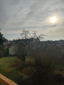 Byt s terasou a zahradou