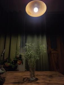 Ivory Botanic Stay