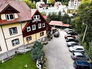 Harmont Montis- dawna Zającówka- IDEALNA lokalizacja - leśna enklawa w centrum miasta! Sauna, masaże, zabiegi spa! - 希维拉杜夫-兹德鲁伊