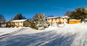 Maisons de vacances Les Genets du Sancy : photos des chambres