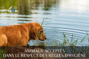 Chalets *l-Ecrin de l-Etang* Depaysement assure : photos des chambres