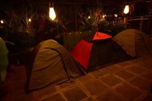 Dandeli Resorts Booking