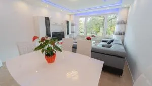 Mega Lux Apartment - Hohenacker