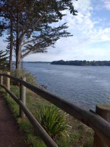 Appartements Charmant appartement Saint-Malo : photos des chambres