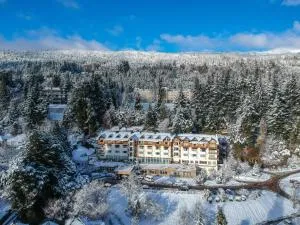 Huinid Bustillo Hotel & Spa - Bariloche