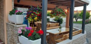 Villa Dalmatina Zadar mit Pool