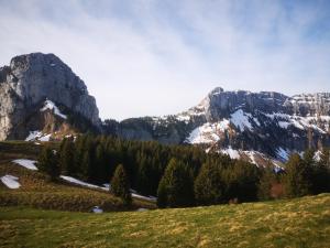 Sejours chez l'habitant Domaine de la Griffe - Chambres d-hotes a la montagne : photos des chambres