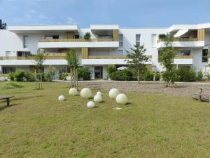 Residence Coeur boise appartement avec terrasse et wifi Espace vert