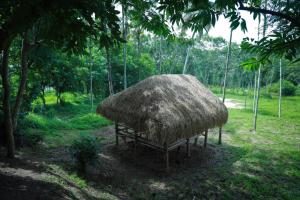 Royal Wooden villa