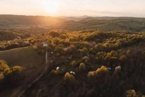 Shepherds hut in nature