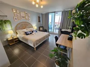 Brise Marine - Saint Gilles les Bains - Boucan - Studio vue mer - 圣吉尔莱班