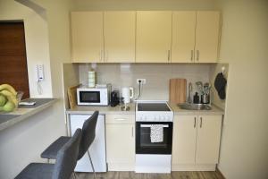 Belgrade Center Cozy Penthouse