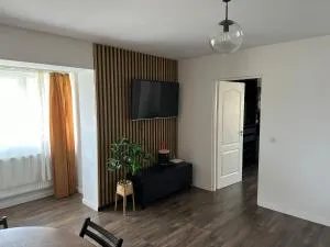 Cozy apartment - Coltău