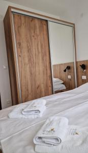 Hedonist Zlatibor Mountain Wellness & SPA