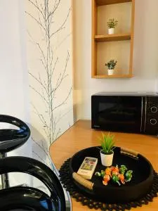 Henriett’s cosy places - 萨图马雷