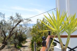 Anais Apartments Pelion Greece