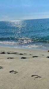 Appartements CASA MARE : photos des chambres