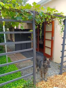 33 on Smuts Selborne