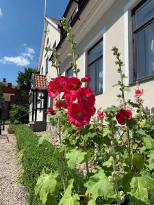 Hammenhögs gästgivaregård