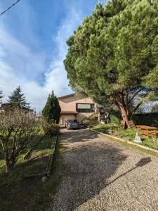 Pin parasol - Laparade