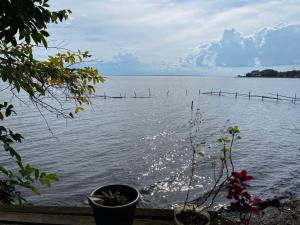 Hotel Ecológico Cabañas del Lago