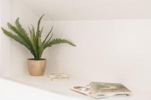 El Ventanal de Collarada