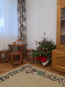 Emilia Suite
