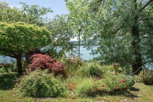 Lakeside Apartment - Seeufer Apartment