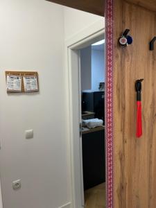 Apartment Studio Shevitsa 2