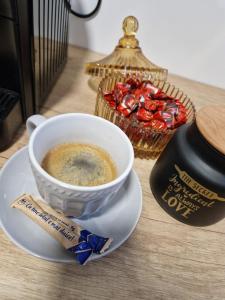 Crăițelor Boutique Airport Apartment