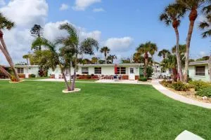 Shorely Grand - Shaefer