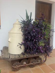 Hacienda Sierra del Pozo -Especial Grupos-