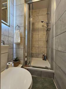 Fulham one bedroom flat