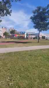 Calido y Confortable Girasol