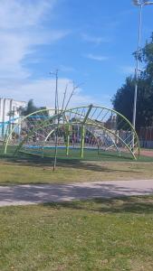 Calido y Confortable Girasol