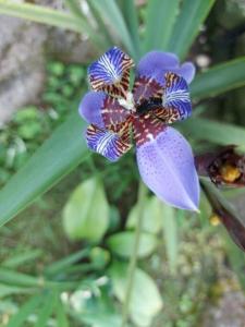 Casa Campestre Mi Refugio