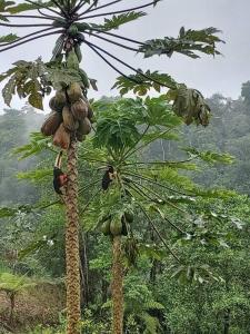 Casa Campestre Mi Refugio