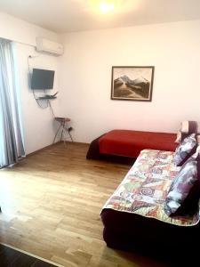 Apartments Apollonia Budva