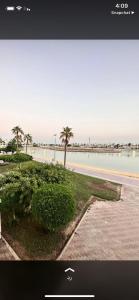 درة العروس الحالمة