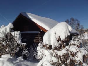 Chalet spacieux près de Gérardmer avec terrasse, verger et activités montagne - FR-1-589-121