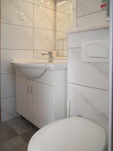 Family friendly house with a swimming pool Vinovac, Zagora - 22041