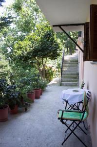 Studio with Fireplace and Garden View