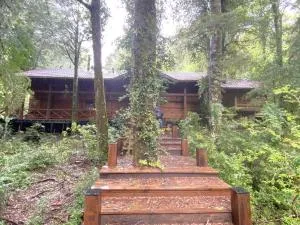 Cabaña del Leñador Los Renovales Huilo Huilo - Huilo Huilo