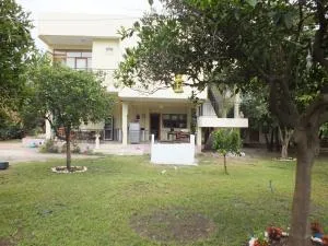 Teo Hotel&Pansion - Ulupinar