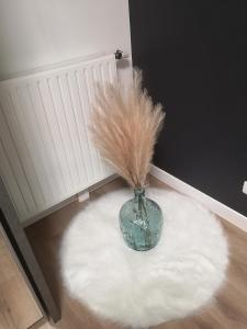 Grand T2 avec jardin et parking proche Paris et Orly